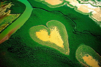 【ハート型地形０１】_ニューカレドニアのハート型のマングローブの森1[1].jpg