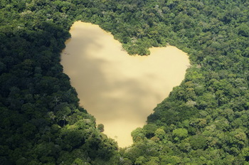 【ハート型地形０８】ブラジルのアマゾンのジャングルにあるハート型の池[1].jpg