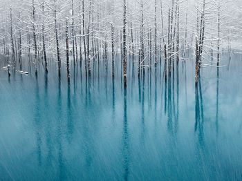 冬の美瑛湖　1.jpg