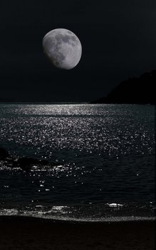 闇夜の月.jpg